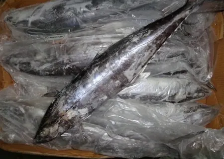 Seer Fish