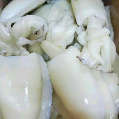 CuttleFish