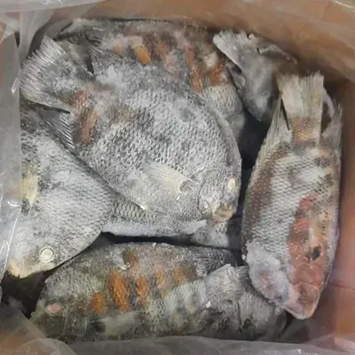 Karimeen Fish