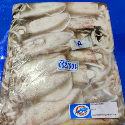 Thondi Squid